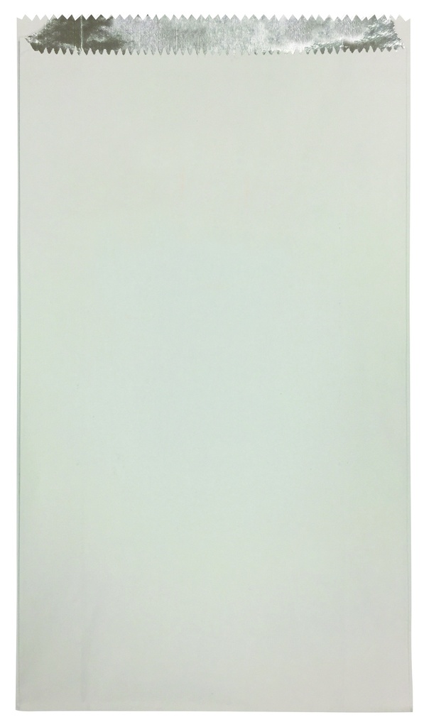 Plain White Large Chicken Foil Bag