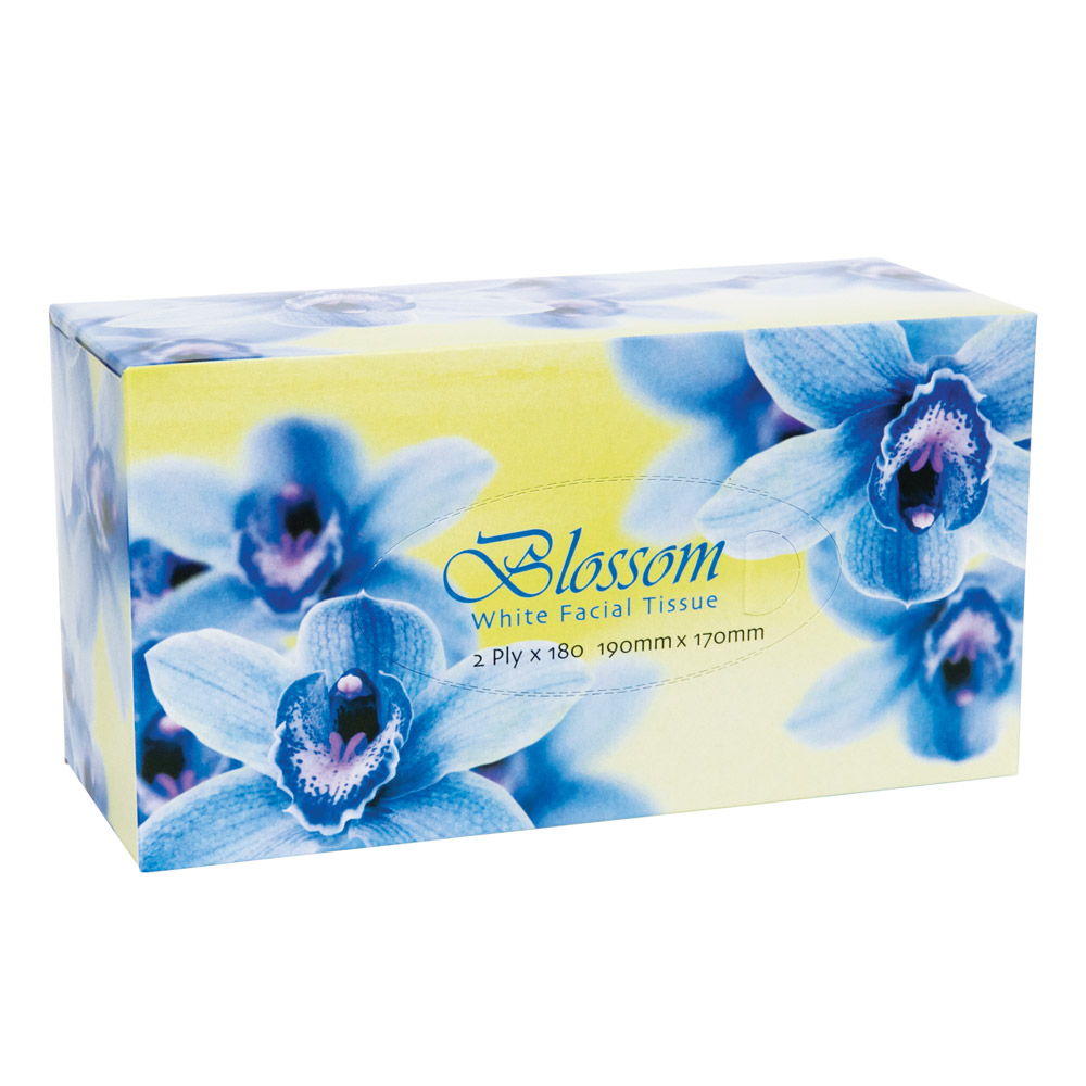Facial Tissues 2 Ply 