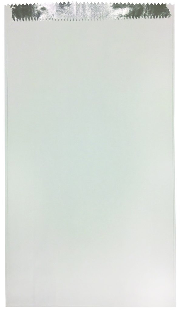 Plain White Jumbo Foil Chicken Bag 