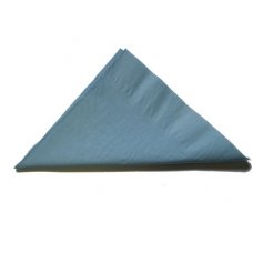 [E-370538] Napkin Dinner 2 Ply - Light Blue