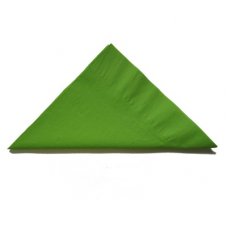 [E-370545] Napkin Dinner 2 Ply - Lime