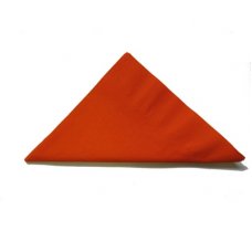 [E-370571] Napkin Dinner 2 Ply - Orange