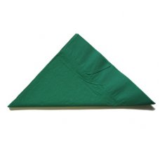 [E-380055] Napkin Cocktail 2 Ply - Dark Green