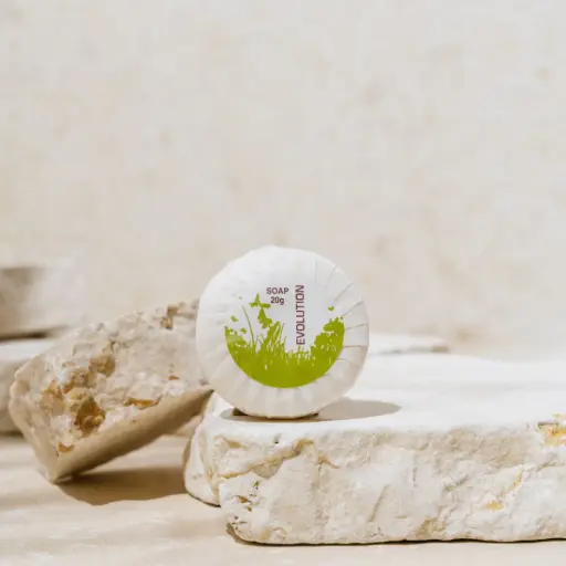 [J-EVSOAP] Evolution Wrapped Soap Bar