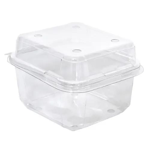 [E-PUN250] 250g Produce Clamshell Container