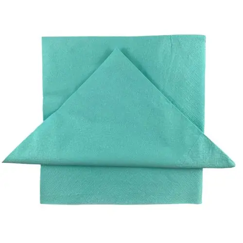 [E-380209] Napkin Dinner 2 Ply - Mint