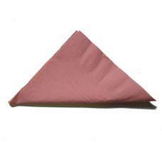 [E-380104] Napkin Lunch 2 Ply - Light Pink 