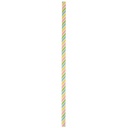 Rainbow EcoStraw