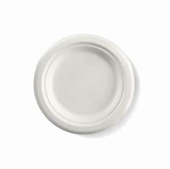 Plate Round Sugarcane Enviro 6"