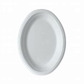 Oval Sugarcane Enviro Plate 10"x7" 