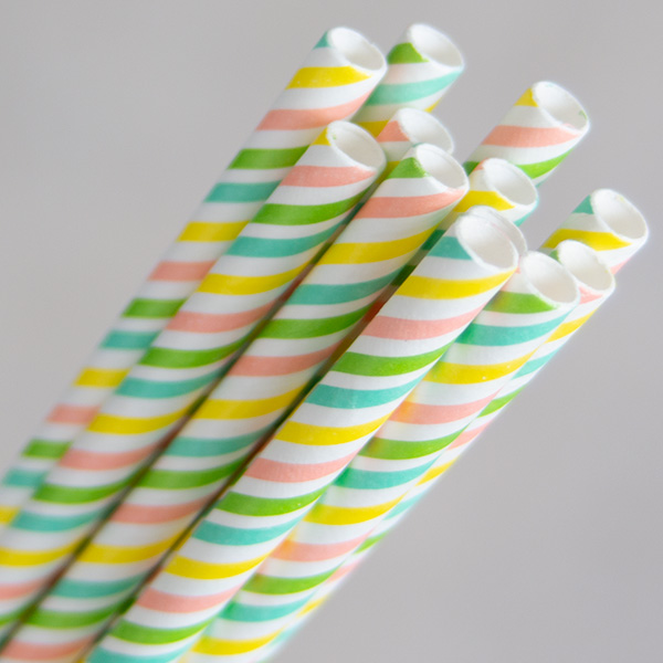 Rainbow EcoStraw