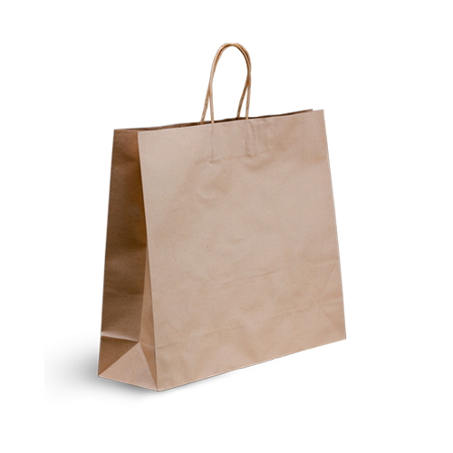 Carry Bag Kraft Paper Boutique 