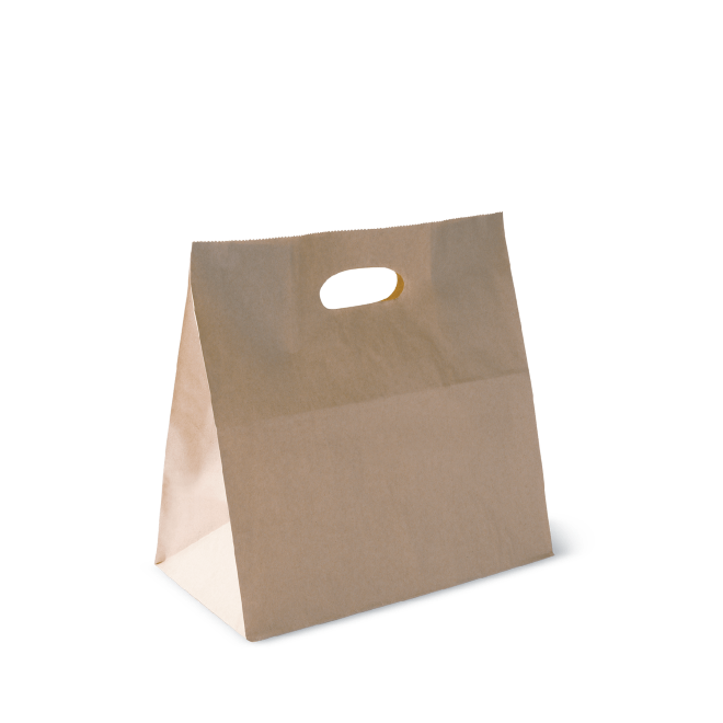 Carry Bag Kraft Die Cut Paper Large