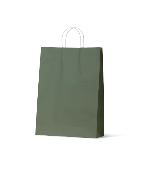 Carry Bag Earth Collection Green Paper Large