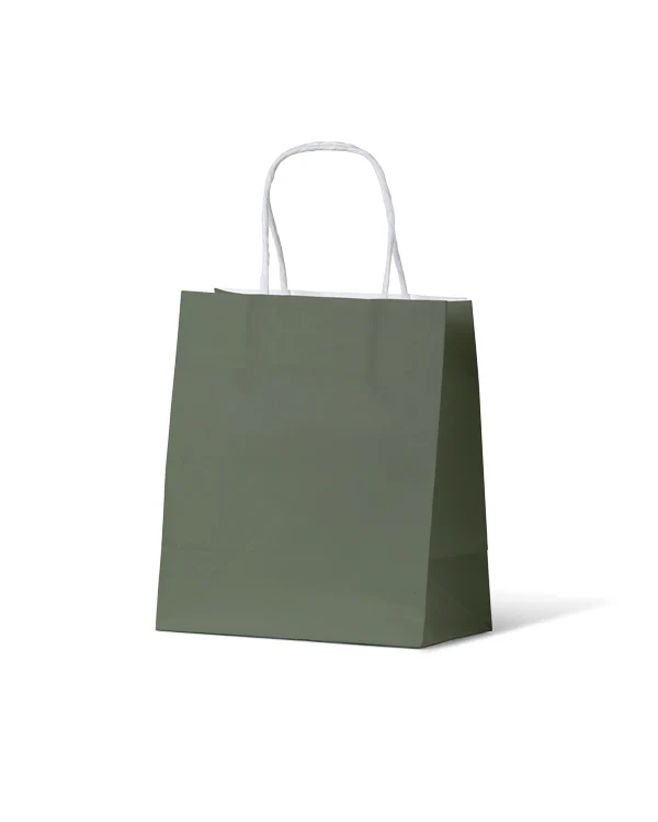 Carry Bag Earth Collection Green Paper Small