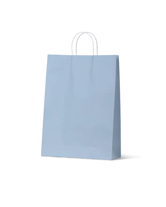 Carry Bag Earth Collection French Blue Paper Large