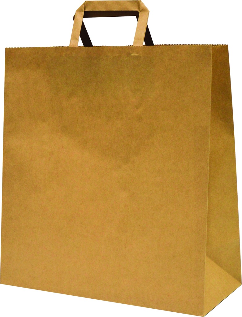 Carry Bag Flat Handle Paper Large