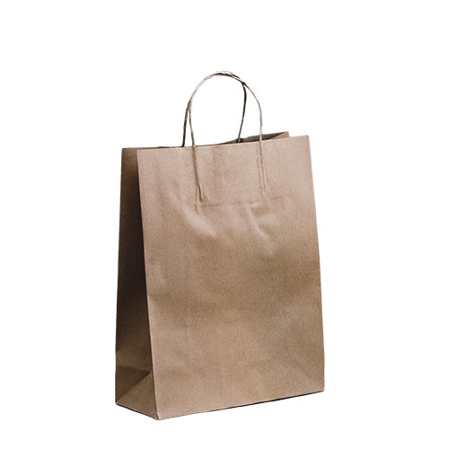 Carry Bag Kraft Paper Medium