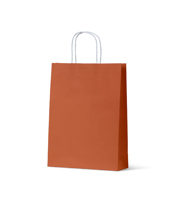 Carry Bag Earth Collection Burnt Orange Paper Medium