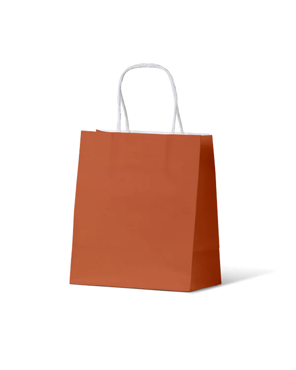 Carry Bag Earth Collection Burnt Orange Paper Small