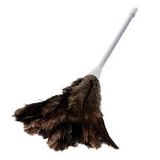 Feather Duster