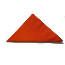 [E-ALP370471] Napkin Lunch 2 Ply - Orange