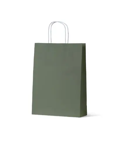 [H-PCBEGM] Carry Bag Earth Collection Earth Green Paper Medium