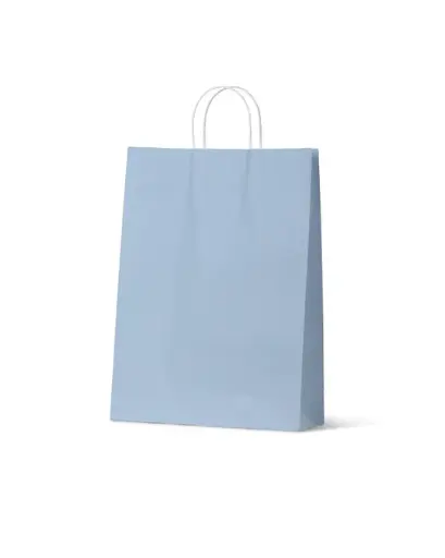 [H-PCBFBL] Carry Bag Earth Collection French Blue Paper Large