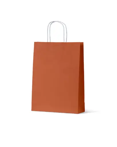 [H-pcbOM] Carry Bag Earth Collection Burnt Orange Paper Medium