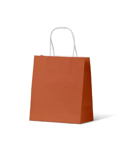 [H-PCBOS] Carry Bag Earth Collection Burnt Orange Paper Small